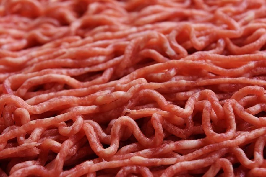 Laborfleisch im Supermarkt: Erste EU-Länder planen Zulassung – Zerreißprobe für die Landwirtschaft? - cultured meat bioreactor