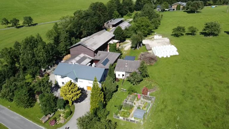 Sommer Praktikum – Foto 1 von 4