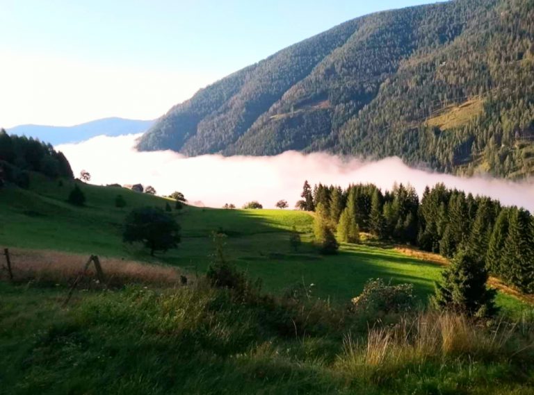 Praktikantin gesucht – Foto 1 von 1