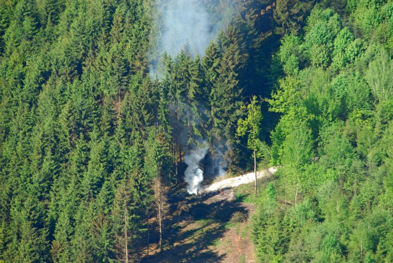 Mittel aus dem Waldfonds können ab Februar fließen