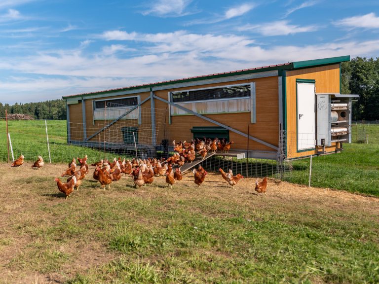 ÖKL-Merkblatt für kleine Legehennenställe