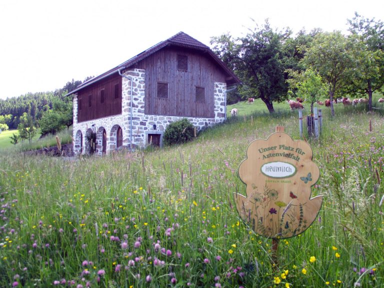 Blumentafeln werben für Heumilch