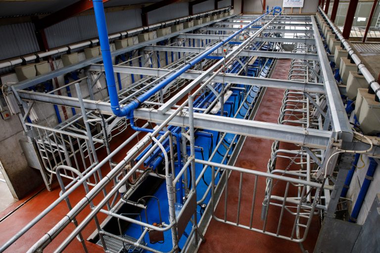 DeLaval melkt tadellos und jetzt easy