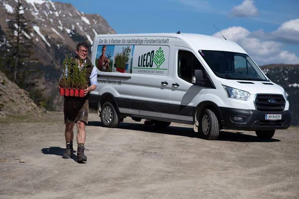 Zeitlich flexibel aufforsten mit LIECO-Containerpflanzen - B