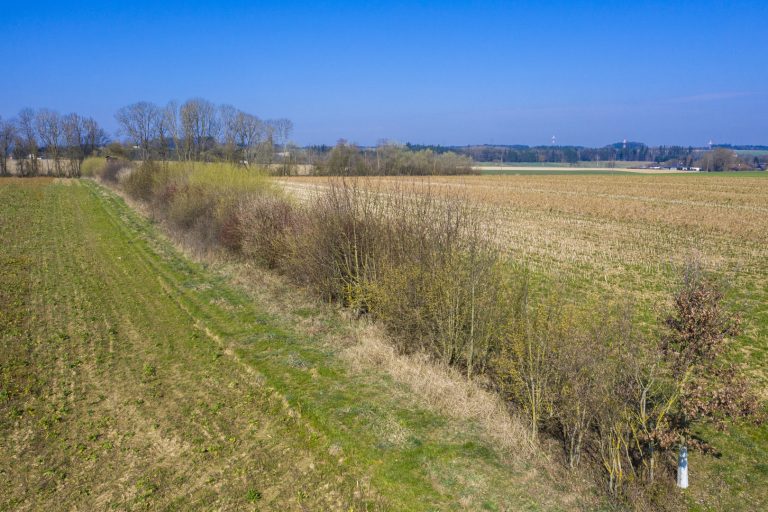 EU-Kommission plant eigene Green-Deal-Studie