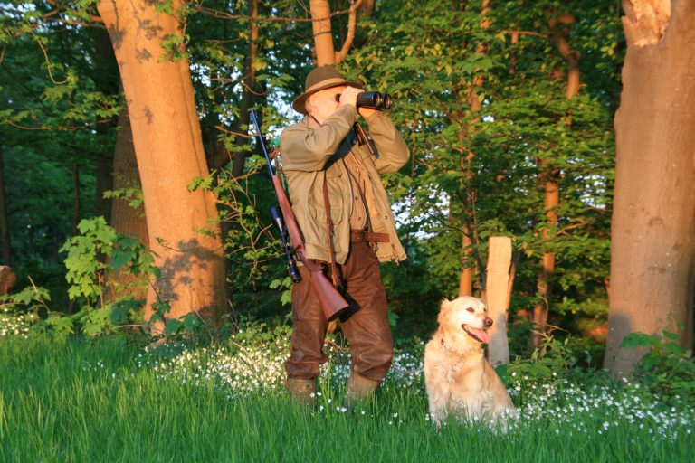 Einfluss des Wildes in Wäldern