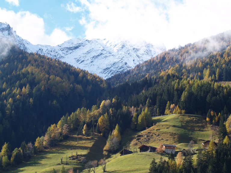 Schutzwald im Wandel – Praxistag
