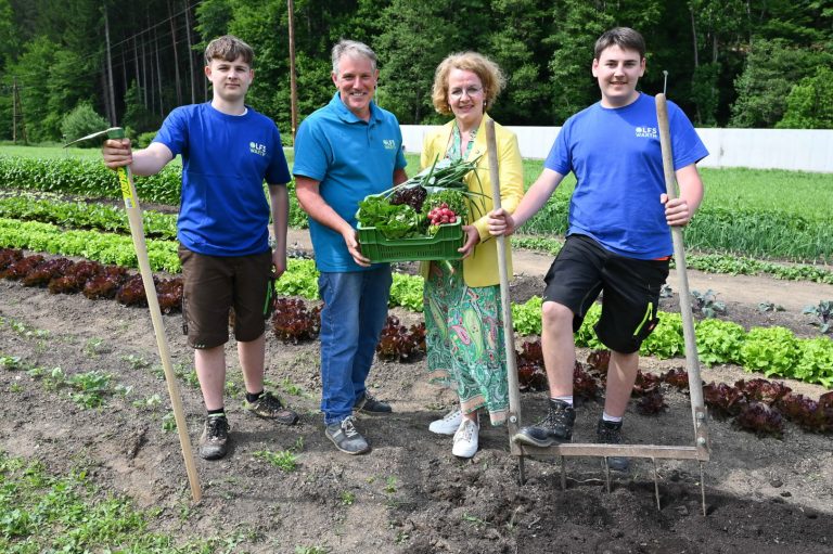LFS Warth erprobt market-gardening