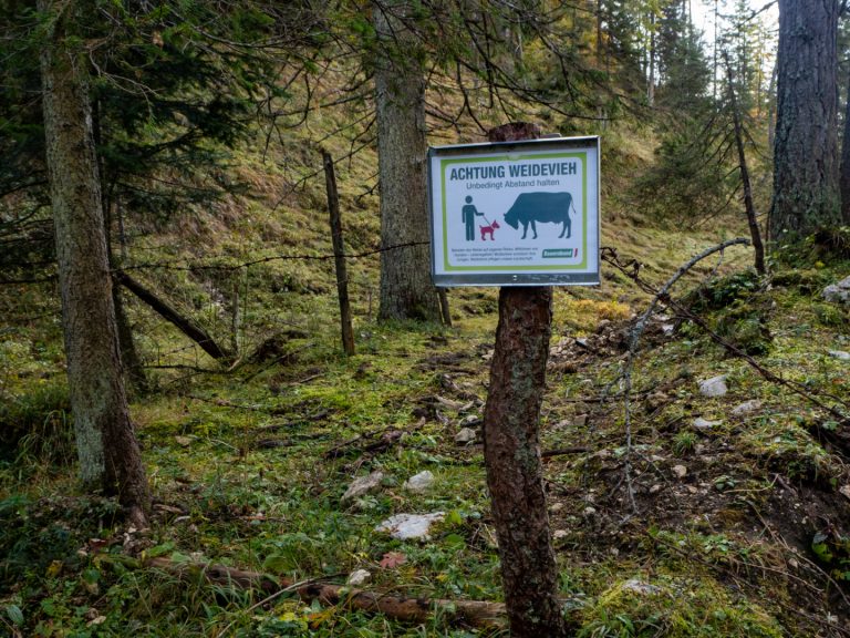 Beschwerde gegen Kärntner Wolfsverordnung