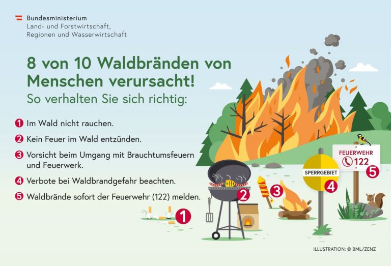 Waldbrände meist menschengemacht