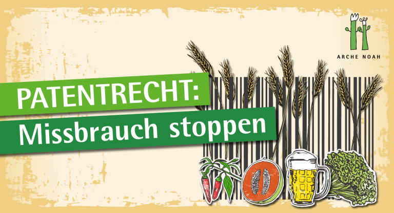 Arche Noah appelliert an BM Totschnig