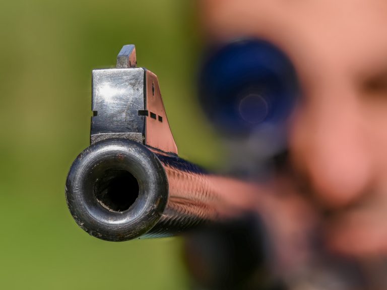 LK- Vorarlberg fordert Abschuss des Problemwolfs