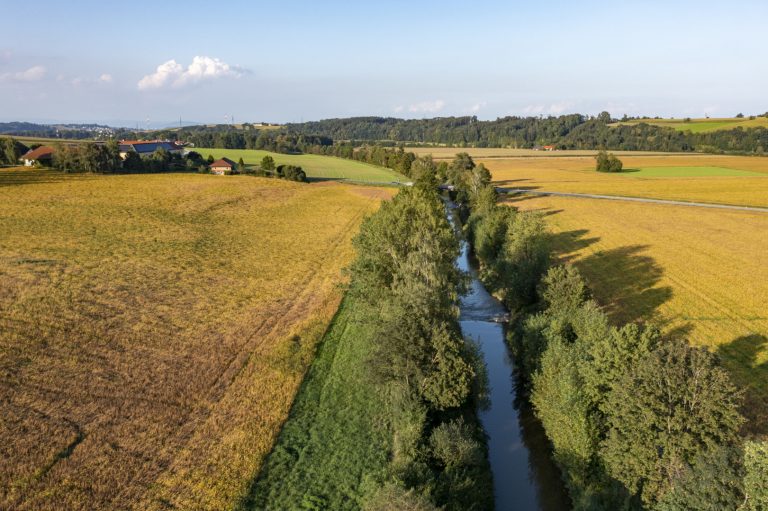 Europäische Eiweißstrategie contra Entwaldung