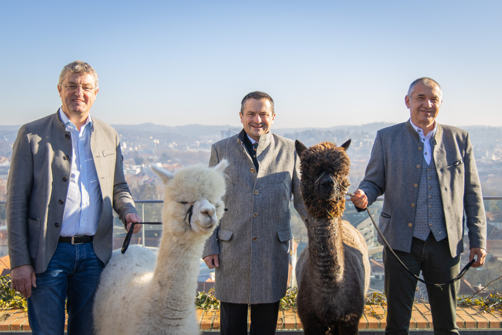 Alpaka Expo in Graz bauernnetzwerk