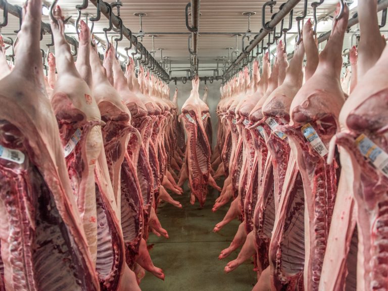 Schweinepreis bricht ein