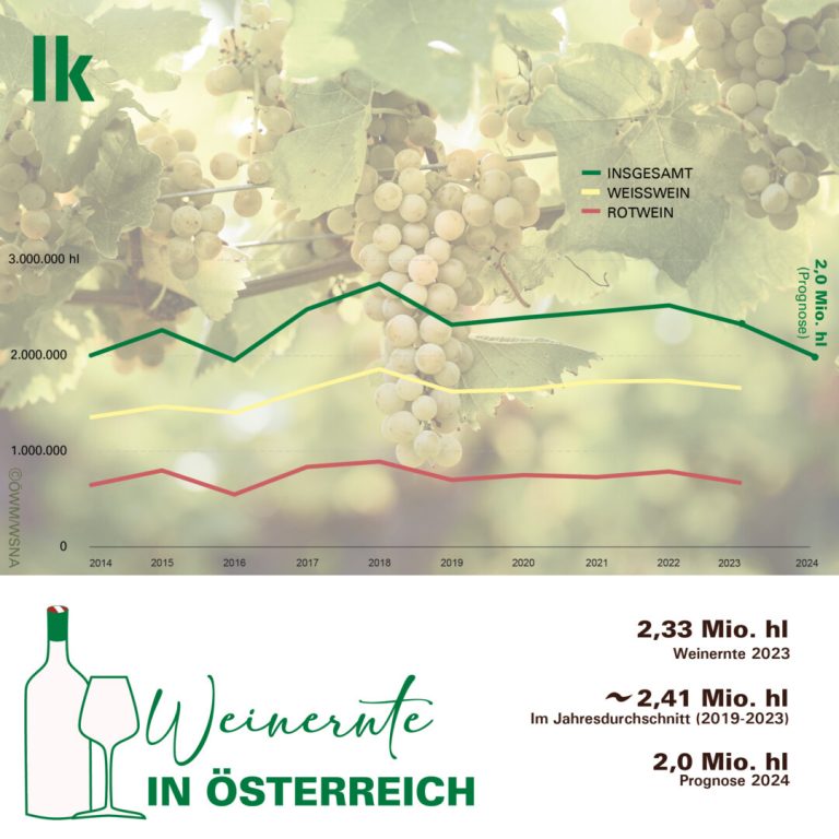 Hochbetrieb in den Weingärten