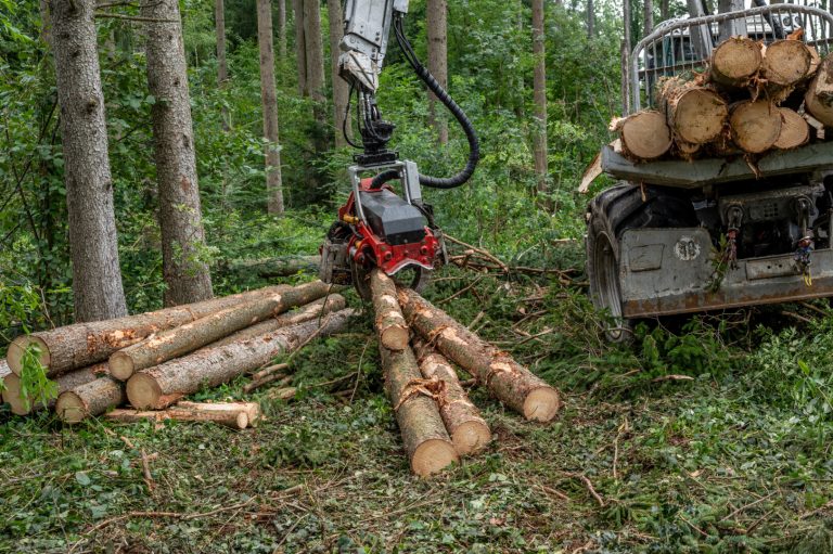 Stabile Holzindustrie