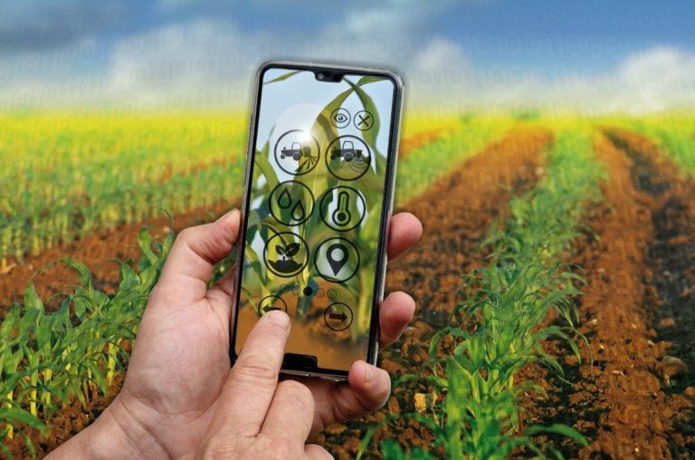Digitalisierung in der modernen Landwirtschaft