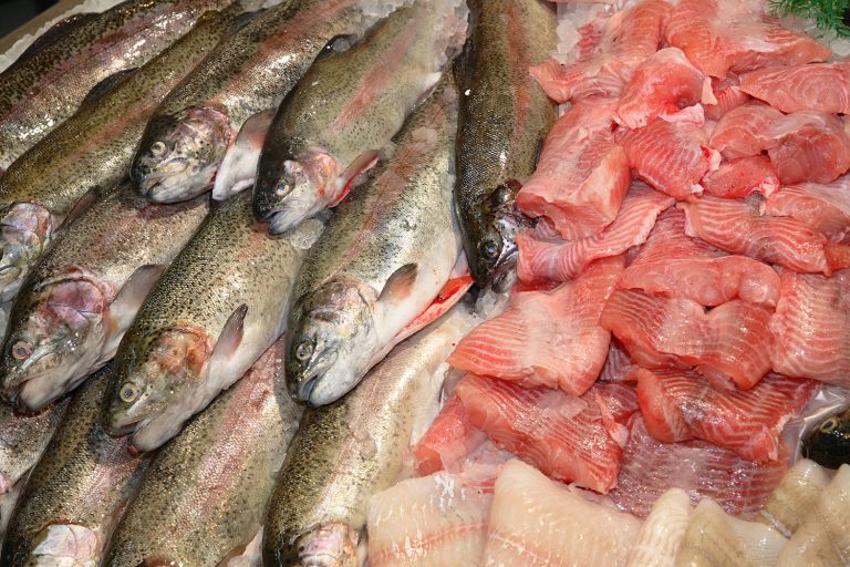 Indoor-Fischzucht hat Potential