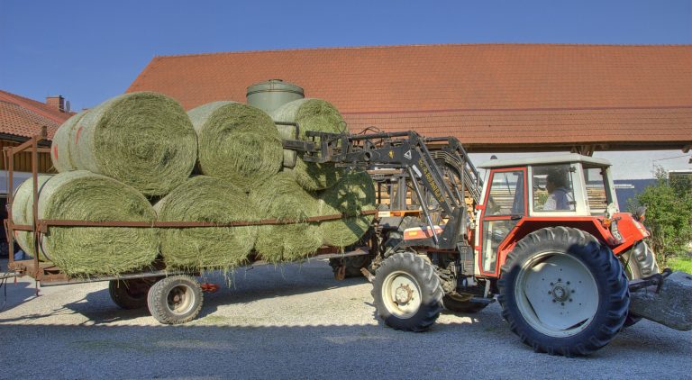 Trocknung sichert Heuqualität