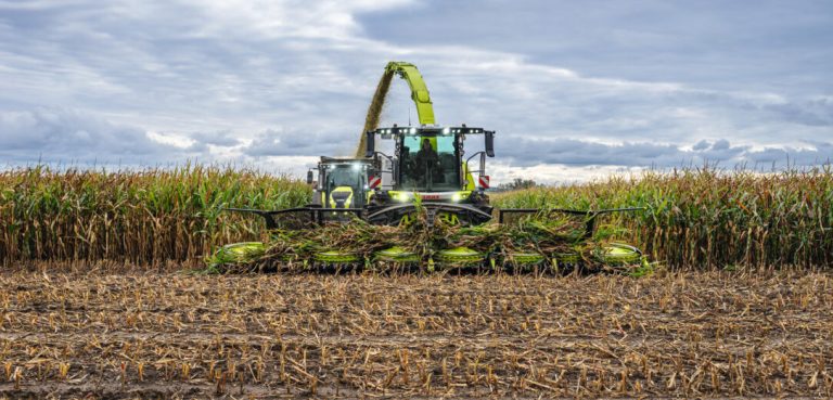 Claas Jaguar 1000 kommt im Herbst