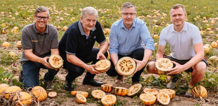 Weniger Kürbisse in der Steiermark