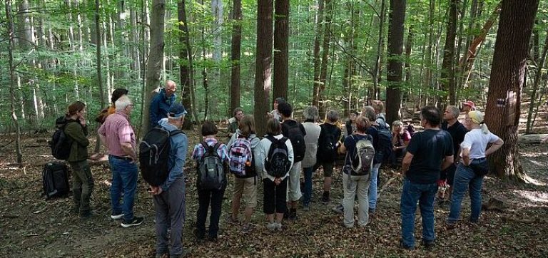 Führungen durch den Wald