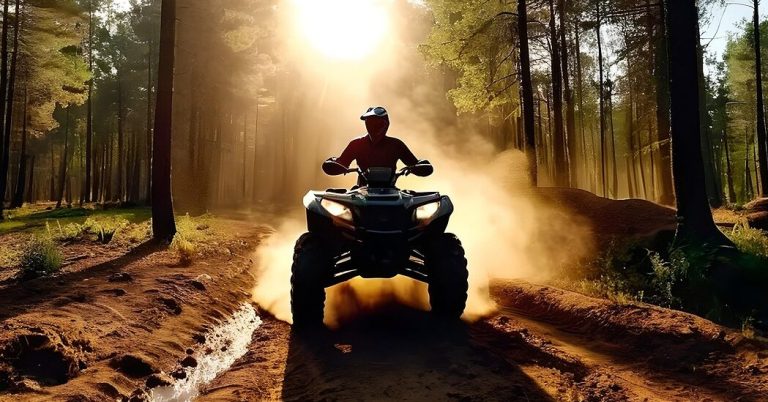 Quadfahrer als Ärgernis im Wald
