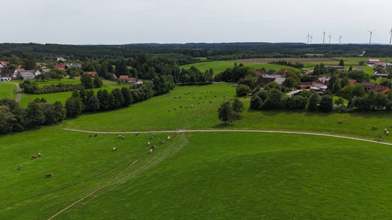 Landwirtschaftliches Praktikum 2027 auf BIO – Milchviehzuchtbetrieb – Foto 1 von 9