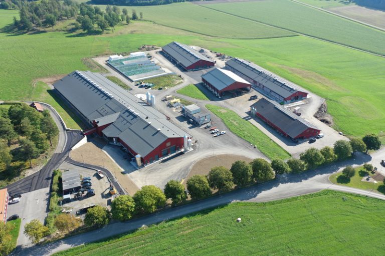 Hamra Farm mit über 1000 Tieren