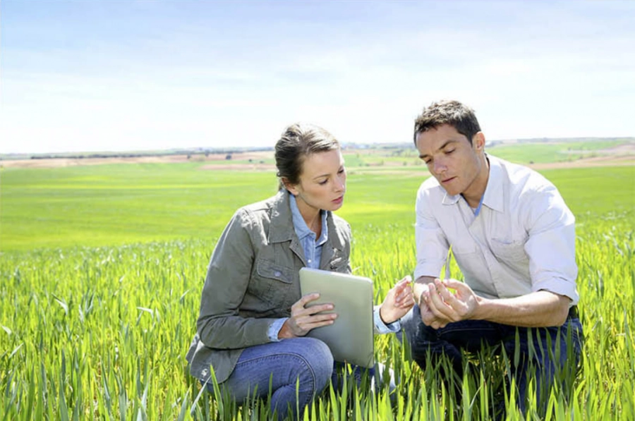 Nachfolgeangebot im Agrarbereich