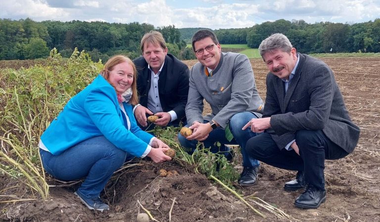 Erdäpfelernte: Gute Versorgung mit heimischer Ware