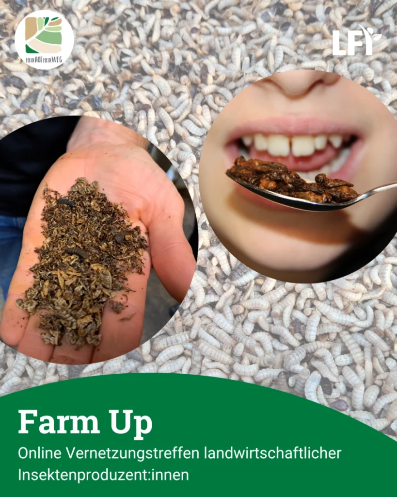 „Farm Up“ – Online-Vernetzungstreffen für Insektenproduzent:innen in der Landwirtschaft