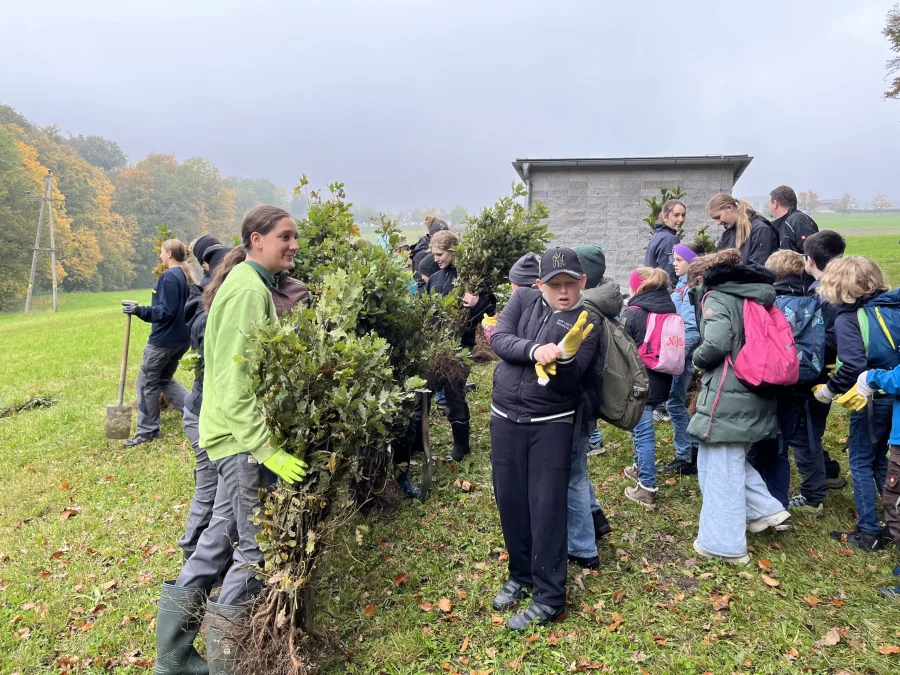 Elmberg ist GUUTE Schule und pflanzt GUUTE Bäume
