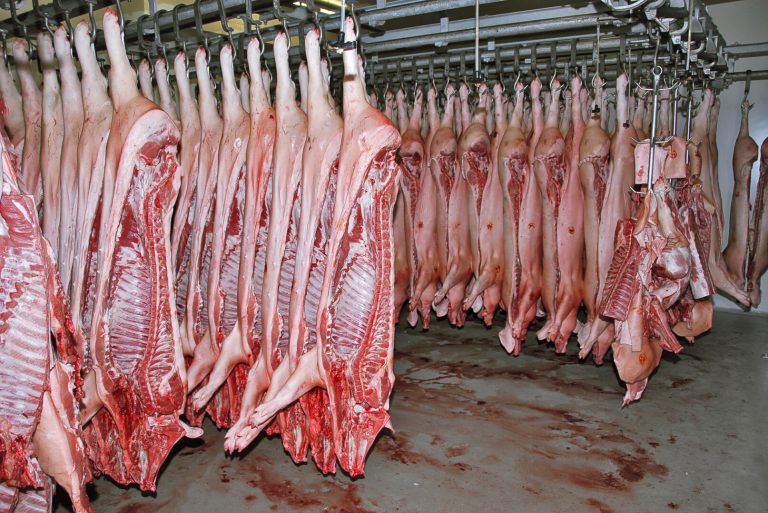 Hoher Zoll auf Schweinefleisch