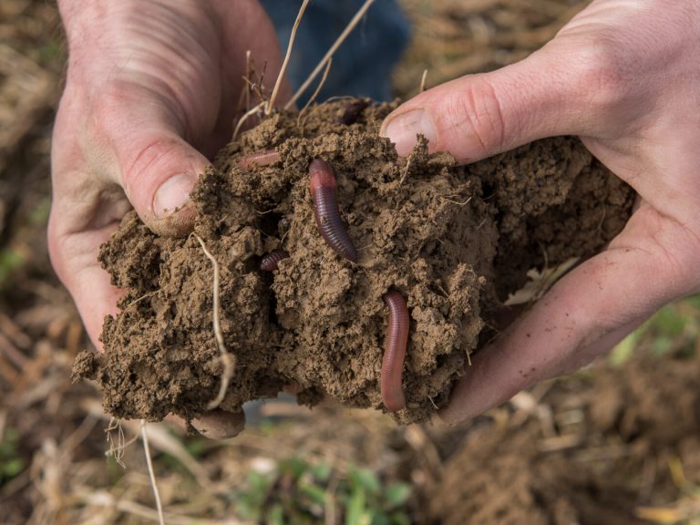 Biorecht fit für die Zukunft machen