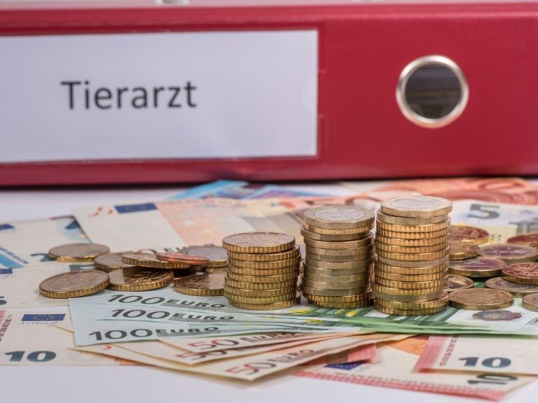 Wozu Tiergesundheitsdienst?