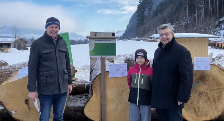 Beste Stämme: Nadelholz ist heiß begehrt