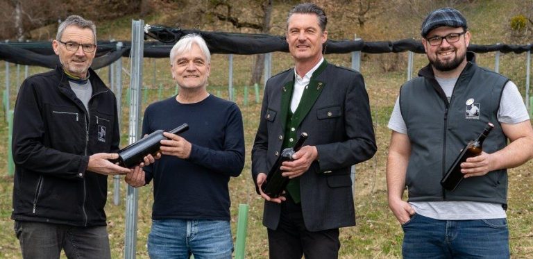 Erster Wein aus dem Ennstal