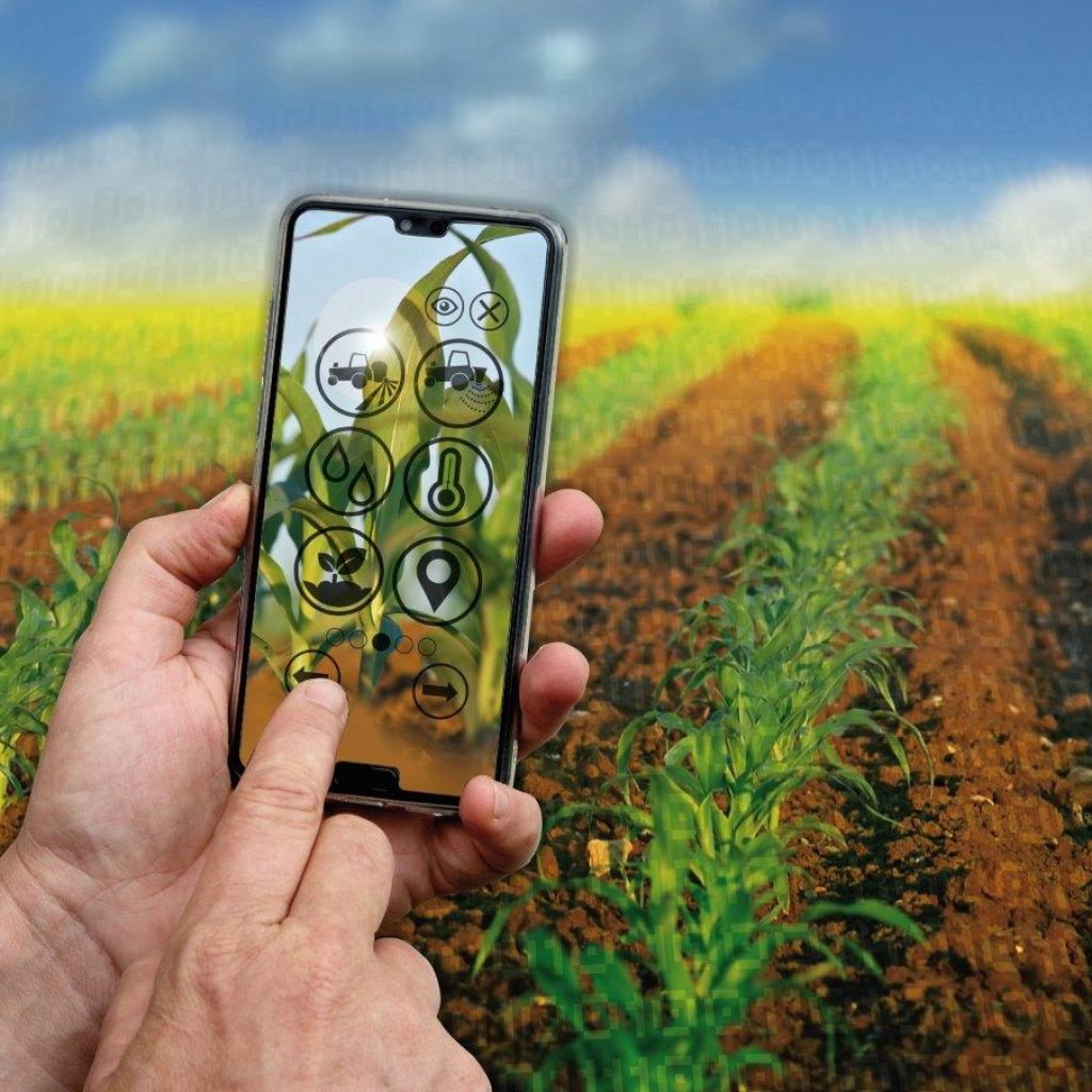 Düngung mit der App optimieren