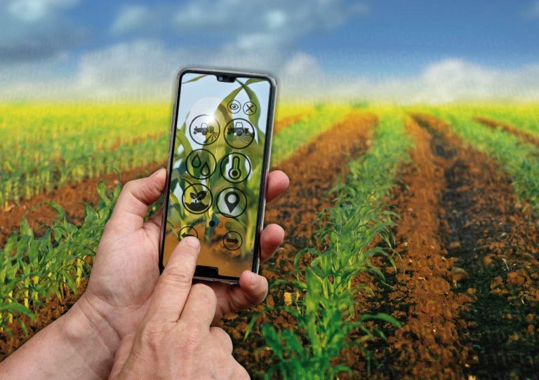 Düngung mit der App optimieren