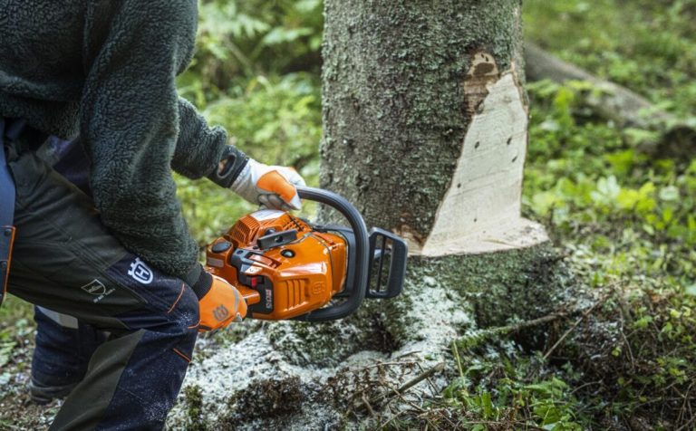 Wenn Kraft auf Gefühl trifft: Die Husqvarna 450X im Einsatz