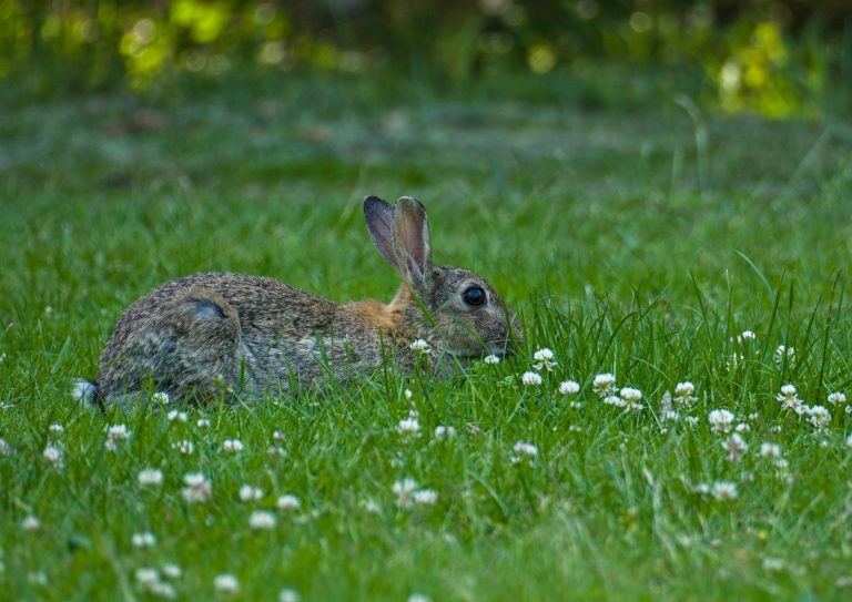 Frohe Ostern