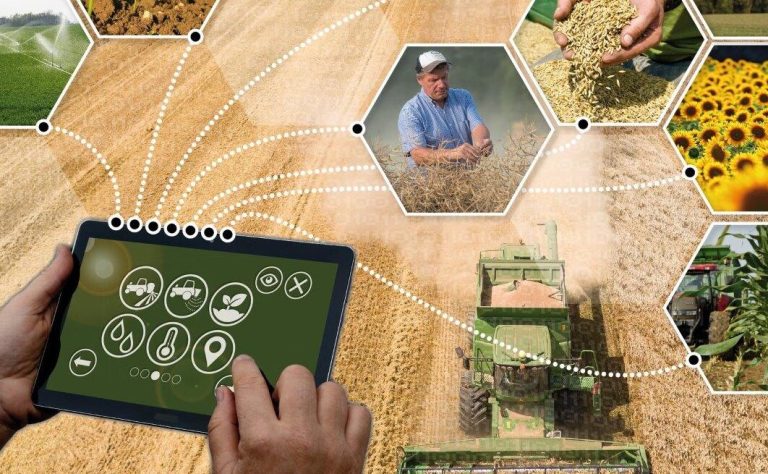 KI in der Landwirtschaft nützen