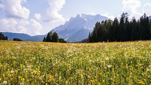 Dürreschäden in Österreich: Bauern kämpfen mit Ernteausfällen – Existenzangst statt Erntedank