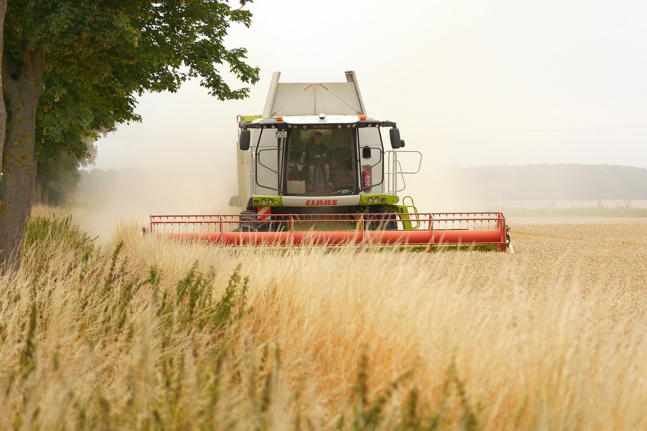 combine harvester wheat field tractor