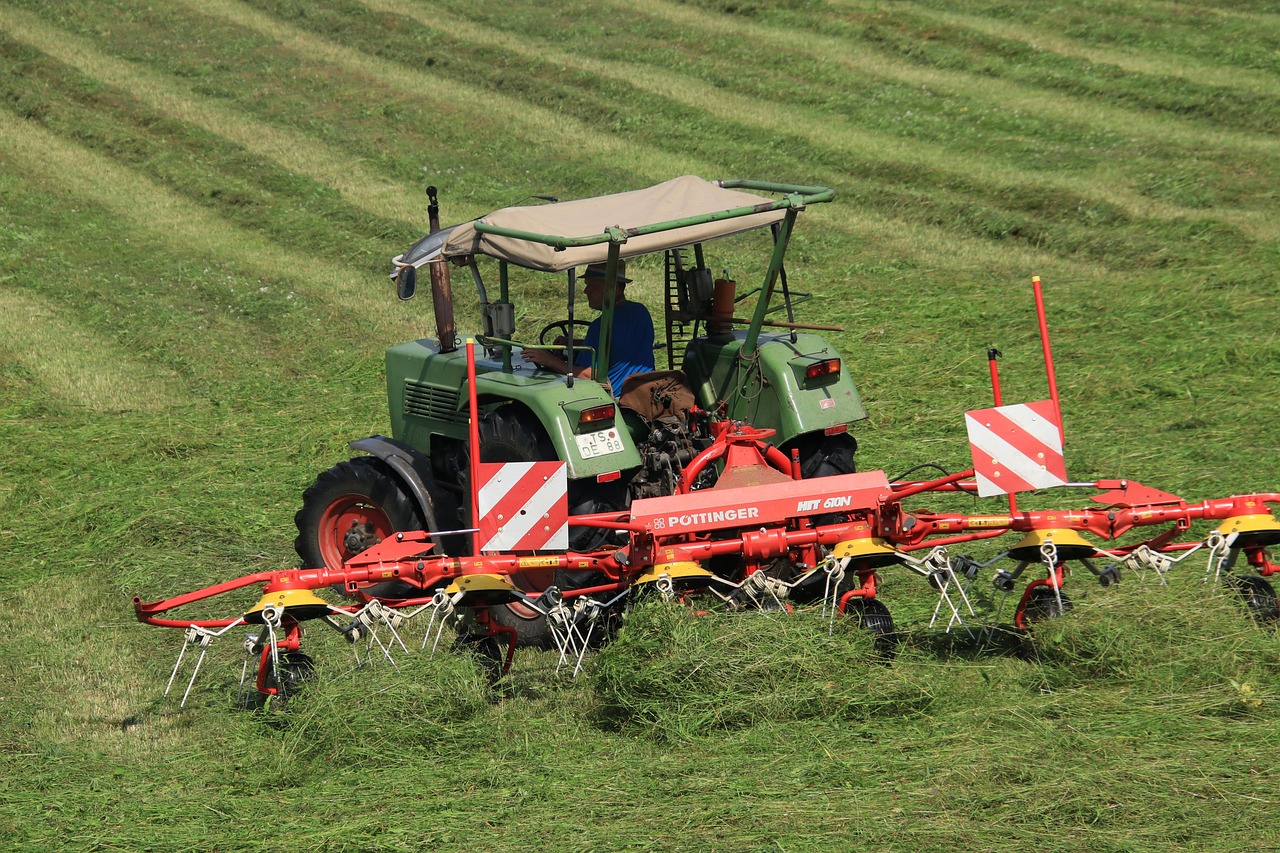 Grünlandpflege im Sommer