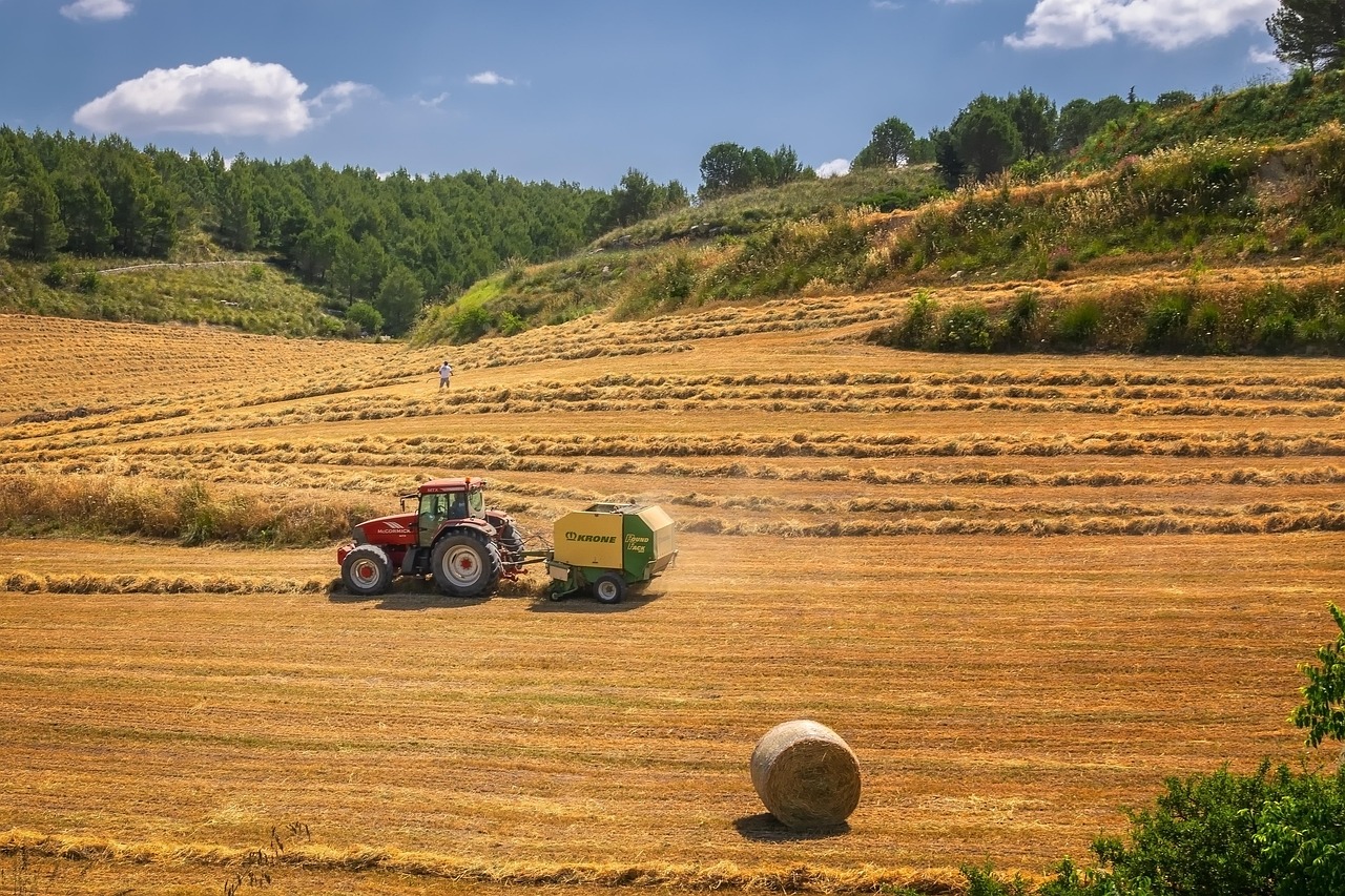 hay harvest tractor field