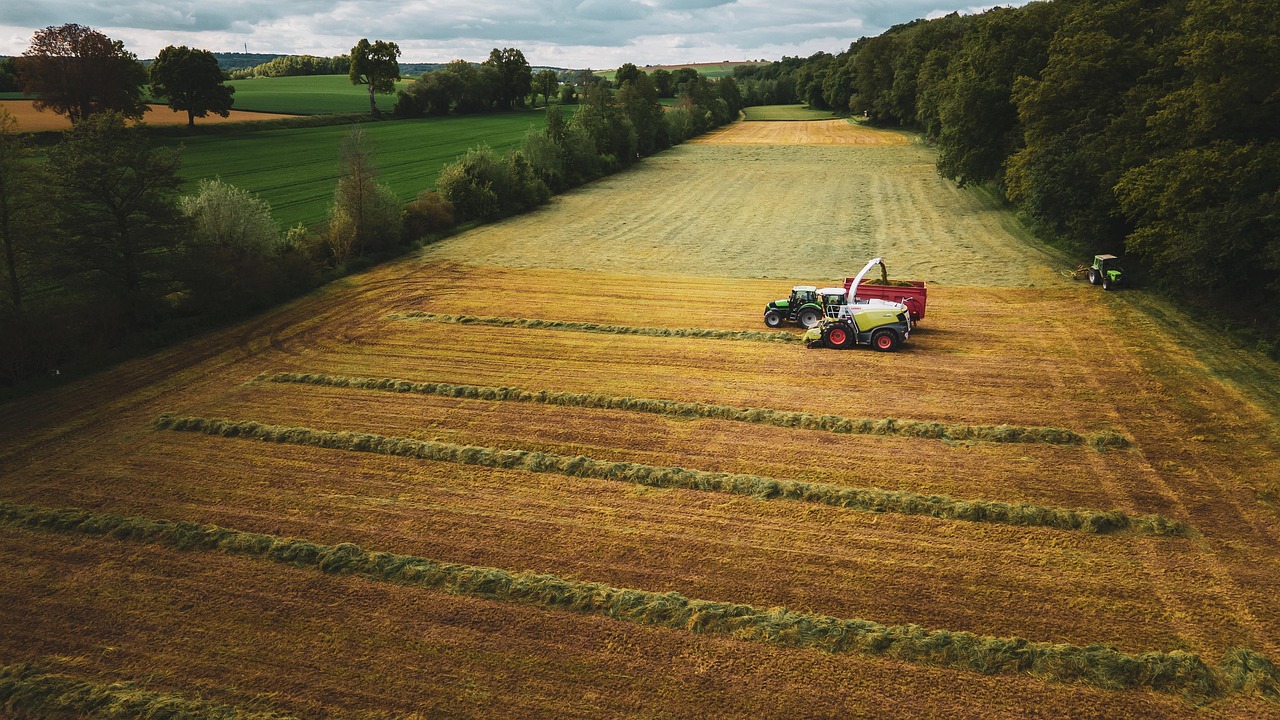 silage tractor field