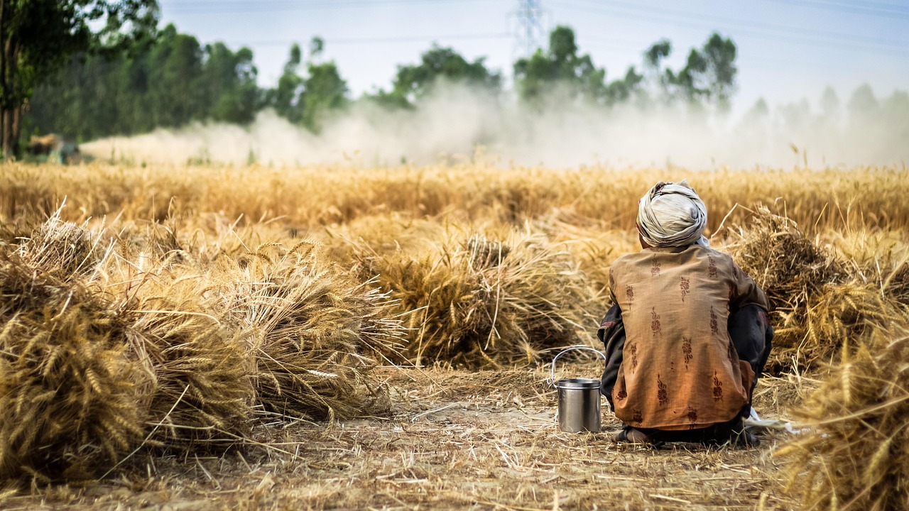 Sommerferienjobs in der Landwirtschaft